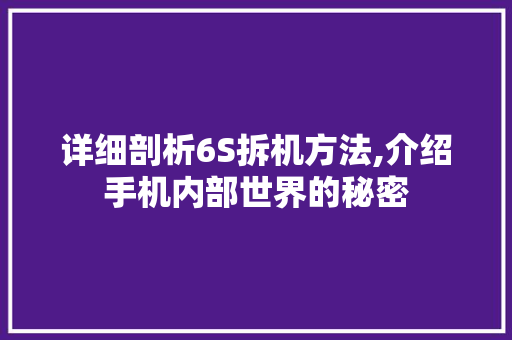 详细剖析6S拆机方法,介绍手机内部世界的秘密