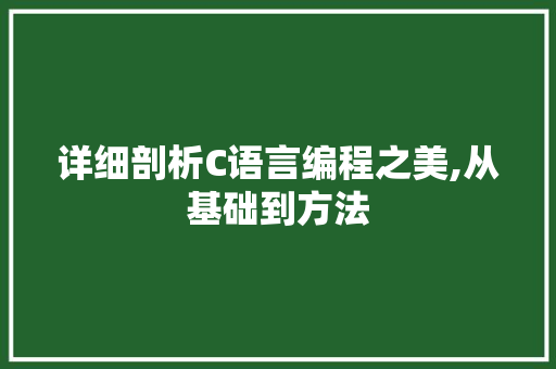 详细剖析C语言编程之美,从基础到方法