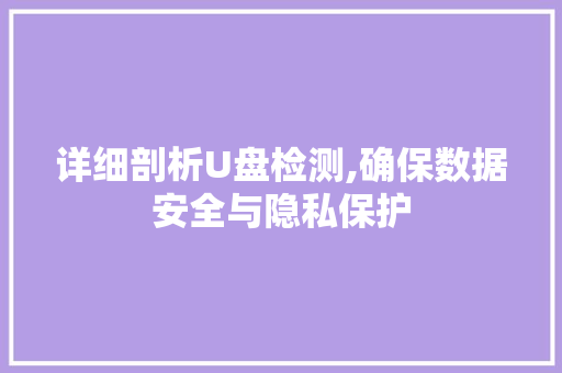 详细剖析U盘检测,确保数据安全与隐私保护 友链在线