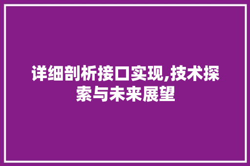 详细剖析接口实现,技术探索与未来展望