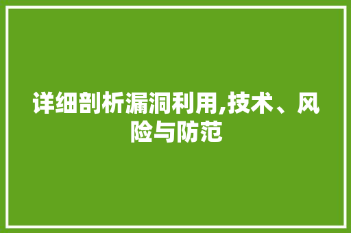 详细剖析漏洞利用,技术、风险与防范 服务器/数据库