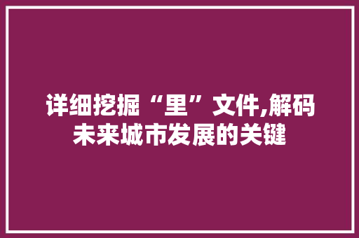 详细挖掘“里”文件,解码未来城市发展的关键