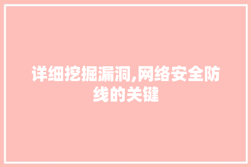 详细挖掘漏洞,网络安全防线的关键