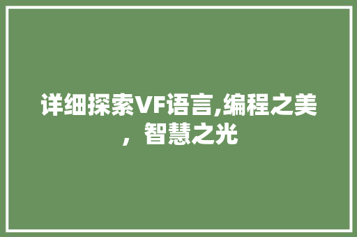 详细探索VF语言,编程之美，智慧之光 建站教程