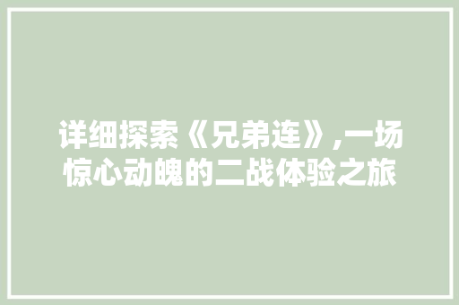 详细探索《兄弟连》,一场惊心动魄的二战体验之旅