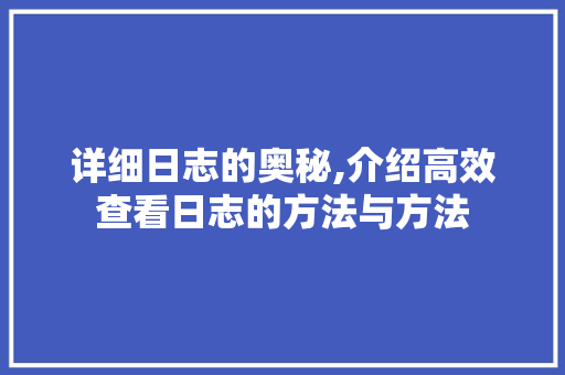 详细日志的奥秘,介绍高效查看日志的方法与方法