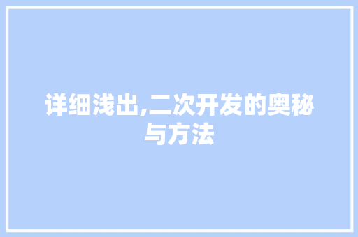 详细浅出,二次开发的奥秘与方法