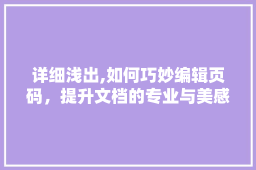 详细浅出,如何巧妙编辑页码，提升文档的专业与美感
