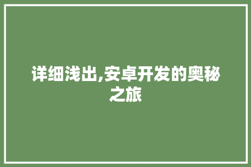 详细浅出,安卓开发的奥秘之旅