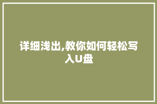 详细浅出,教你如何轻松写入U盘 WordPress教程