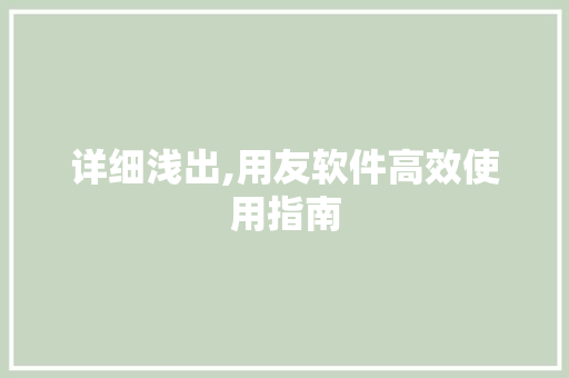 详细浅出,用友软件高效使用指南