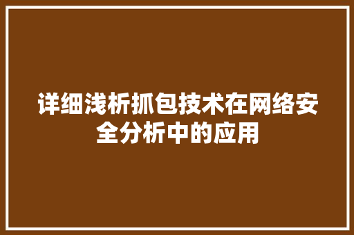 详细浅析抓包技术在网络安全分析中的应用 服务器/数据库