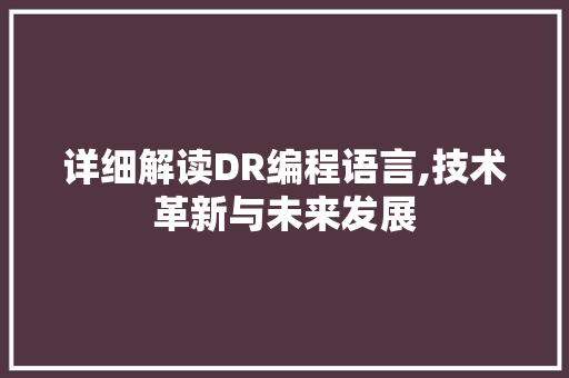 详细解读DR编程语言,技术革新与未来发展
