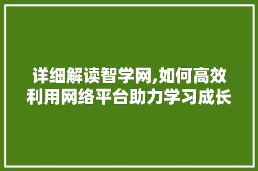 详细解读智学网,如何高效利用网络平台助力学习成长 服务器/数据库