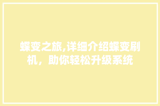 蝶变之旅,详细介绍蝶变刷机，助你轻松升级系统