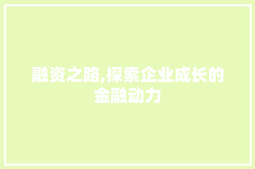 融资之路,探索企业成长的金融动力