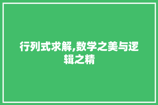 行列式求解,数学之美与逻辑之精