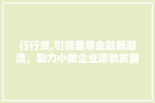 行行贷,引领普惠金融新潮流，助力小微企业蓬勃发展