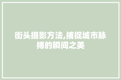 街头摄影方法,捕捉城市脉搏的瞬间之美