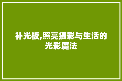 补光板,照亮摄影与生活的光影魔法