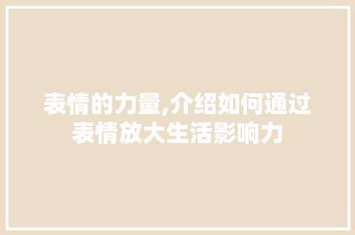 表情的力量,介绍如何通过表情放大生活影响力 友链在线