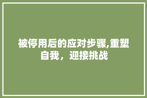 被停用后的应对步骤,重塑自我，迎接挑战