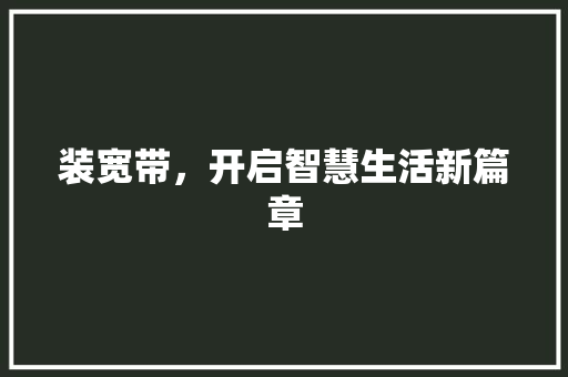 装宽带，开启智慧生活新篇章