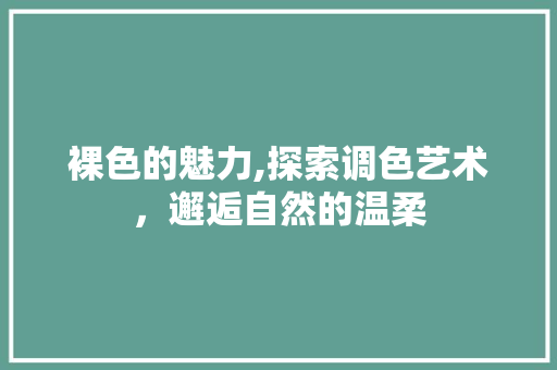 裸色的魅力,探索调色艺术，邂逅自然的温柔