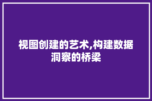 视图创建的艺术,构建数据洞察的桥梁