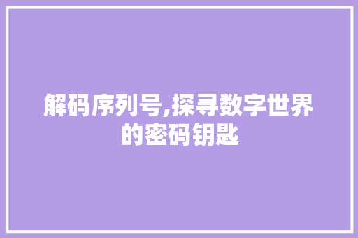 解码序列号,探寻数字世界的密码钥匙