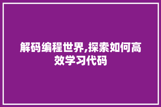 解码编程世界,探索如何高效学习代码
