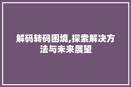 解码转码困境,探索解决方法与未来展望 WordPress教程