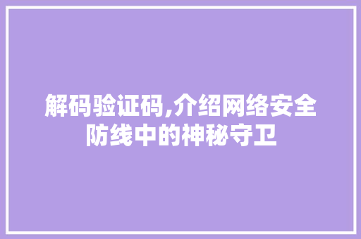 解码验证码,介绍网络安全防线中的神秘守卫 友链在线