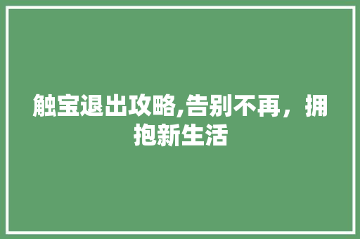 触宝退出攻略,告别不再，拥抱新生活