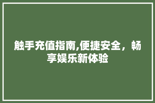 触手充值指南,便捷安全，畅享娱乐新体验