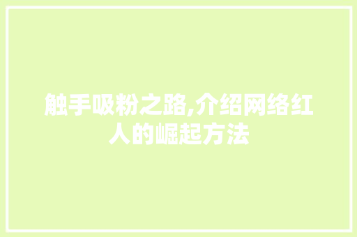 触手吸粉之路,介绍网络红人的崛起方法