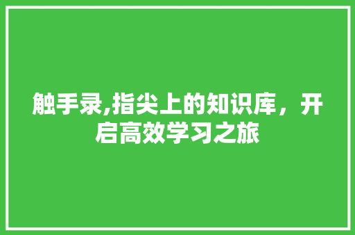 触手录,指尖上的知识库，开启高效学习之旅 SEO教程