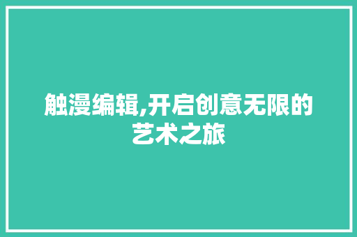 触漫编辑,开启创意无限的艺术之旅