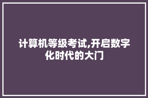 计算机等级考试,开启数字化时代的大门
