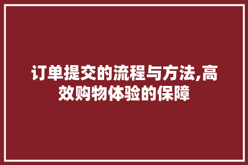 订单提交的流程与方法,高效购物体验的保障