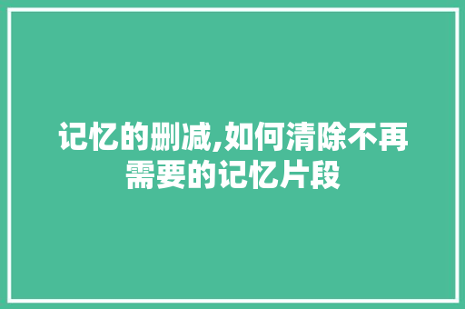记忆的删减,如何清除不再需要的记忆片段