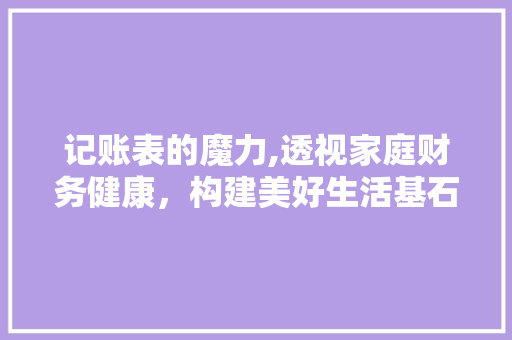 记账表的魔力,透视家庭财务健康，构建美好生活基石