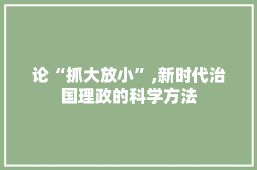 论“抓大放小”,新时代治国理政的科学方法 WordPress教程