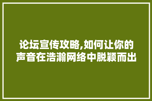 论坛宣传攻略,如何让你的声音在浩瀚网络中脱颖而出