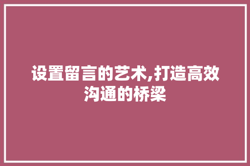 设置留言的艺术,打造高效沟通的桥梁