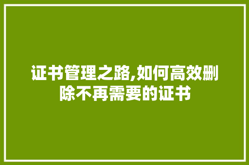 证书管理之路,如何高效删除不再需要的证书