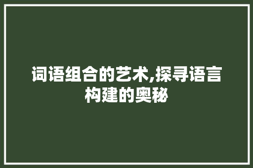 词语组合的艺术,探寻语言构建的奥秘