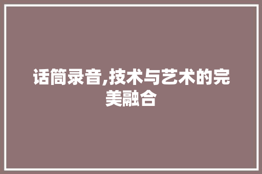 话筒录音,技术与艺术的完美融合