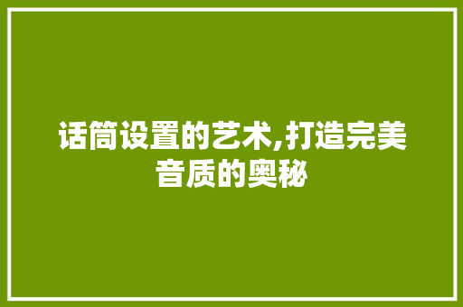 话筒设置的艺术,打造完美音质的奥秘