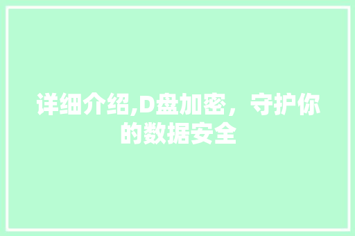 详细介绍,D盘加密，守护你的数据安全